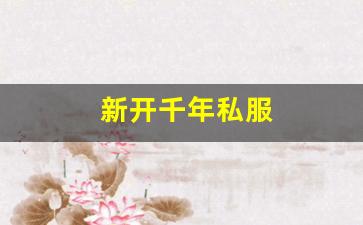 新开千年私服 (5)