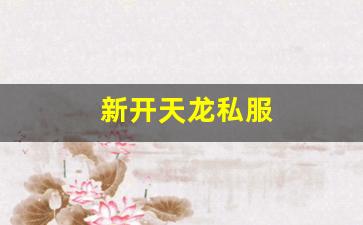 天龙sf网：新开天龙私服 (14)