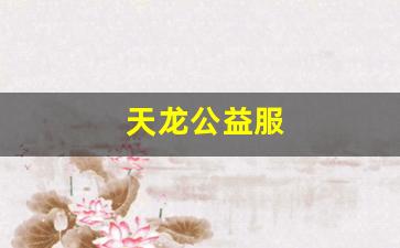 最新天龙八部私服：天龙公益服(天龙八部公益服是什么意思) (3)