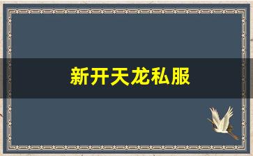 新开天龙私服 (2)