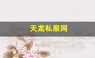 天龙八部发布站：天龙私服网 (3)